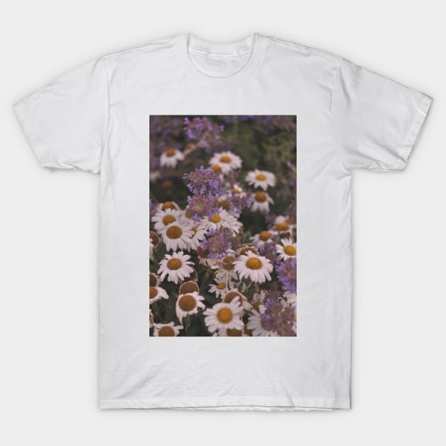 Field of daisies/camomile T-Shirt by artofnella